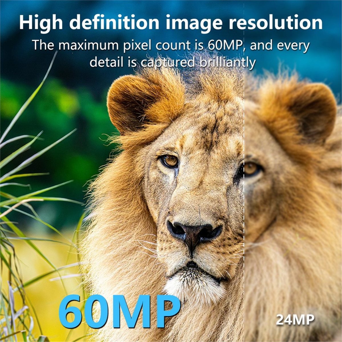 AS62 8K Hunting Camera HD Wild - Hunting Outdoor Rug ulasan dan harga