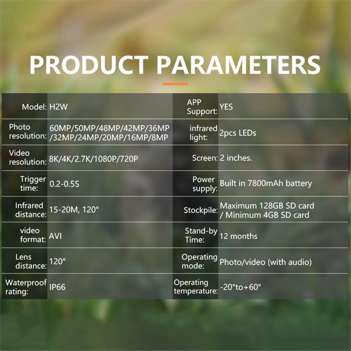 AS62 8K Hunting Camera HD Wild - Hunting Outdoor Rug ulasan dan harga