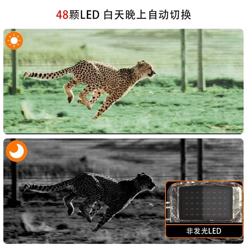 HOT SALE DL001 Hunting Camera  - Outdoor Hunting Videos ulasan dan harga