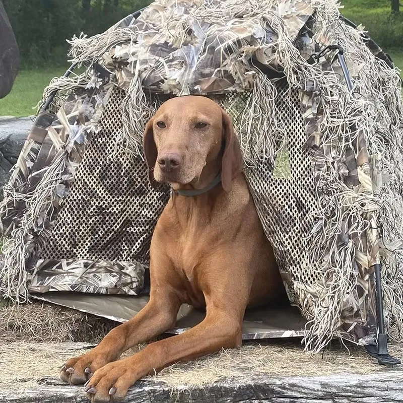 for Lightweight Camo Waterproo - Outdoor Hunting Blinds ulasan dan harga
