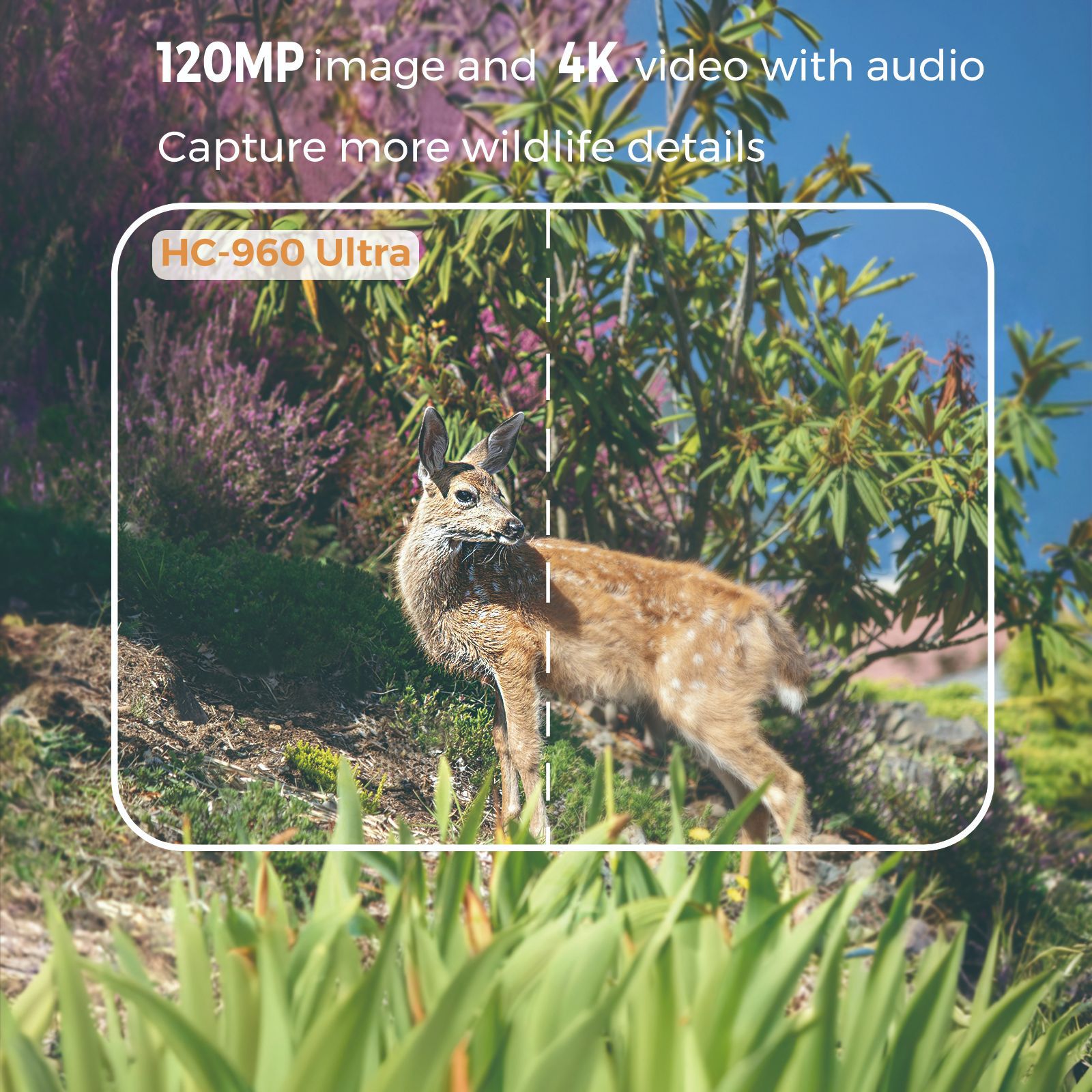 Outdoor 4K Video 120MP Photo 4 - Outdoor Hunting Videos ulasan dan harga