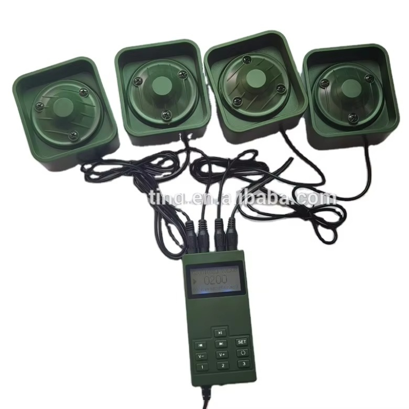New Electronic Plastic Wild Bi - Hunting Quail ulasan dan harga