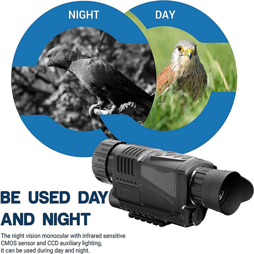 Low Light Night Vision Hunting - Outdoor Hunting Videos ulasan dan harga