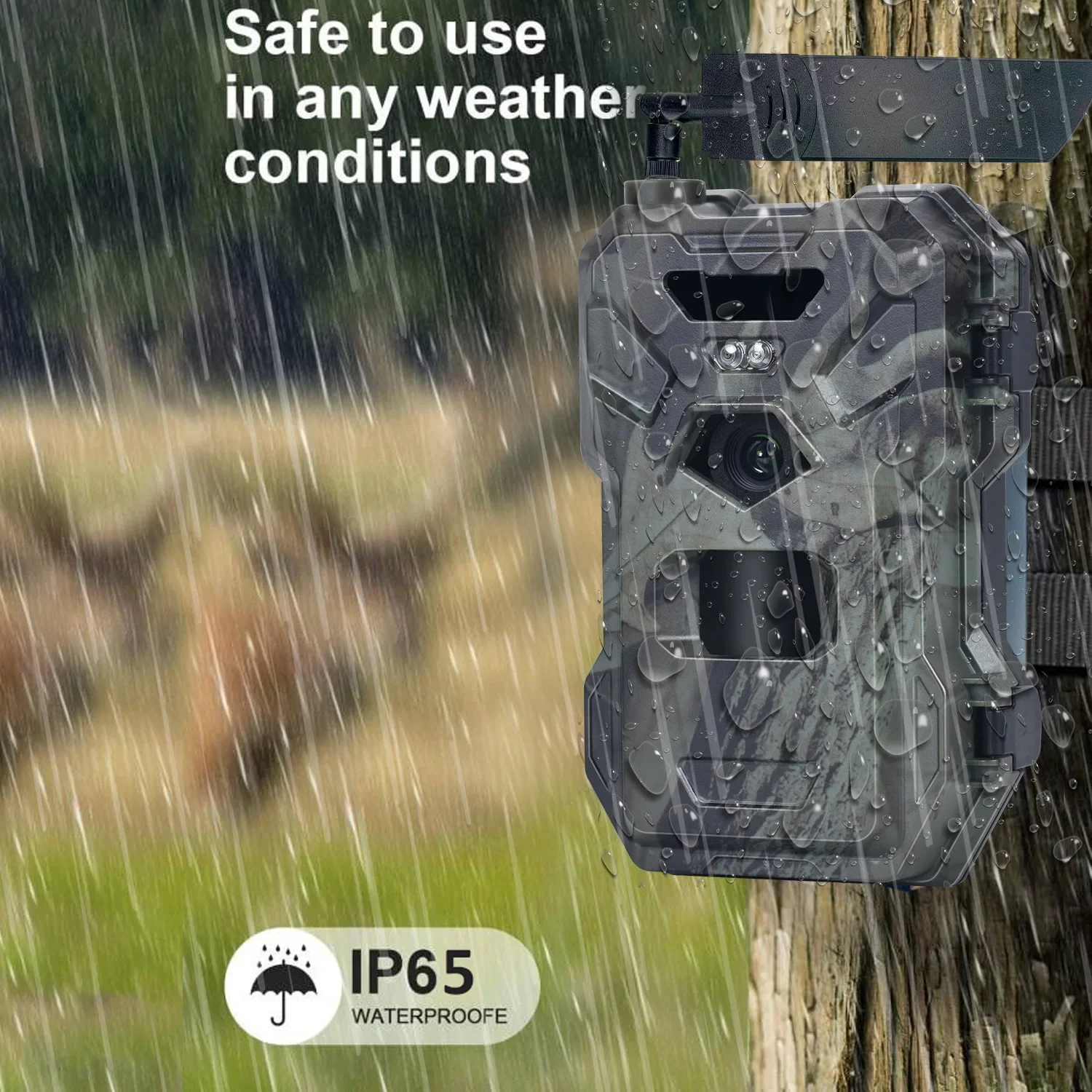 HC-880Pro 4G 30MP HD 2K Night  - Outdoor Hunting Camera Wireless ulasan dan harga