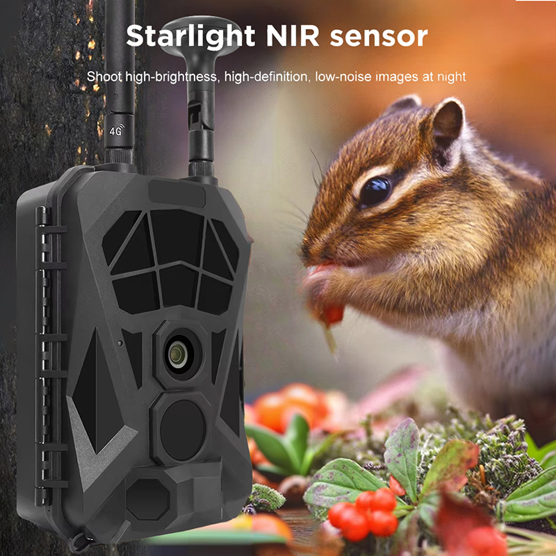 Trail Camera 4G GPS Wireless I - Outdoor Hunting Camera Wireless ulasan dan harga