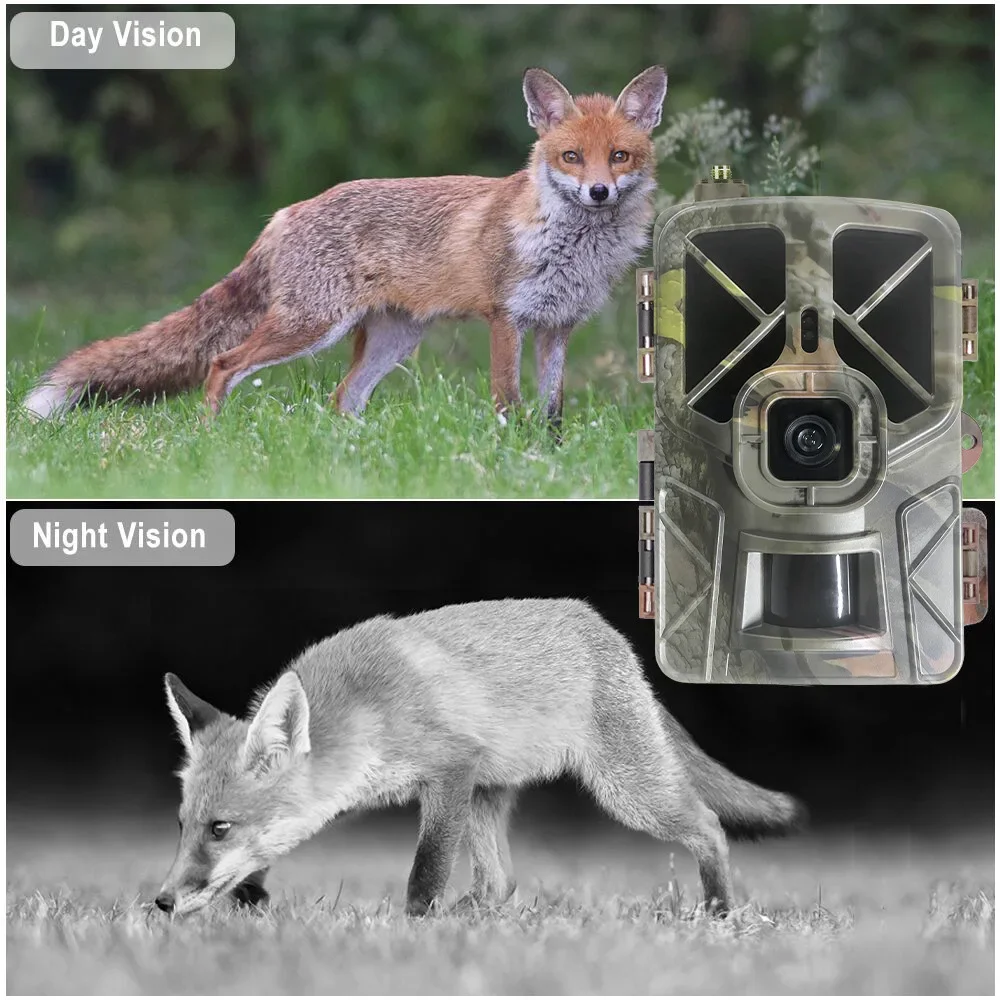 HC-935Pro 2K Outdoor Wildlife  - Outdoor Hunting Camera Wireless ulasan dan harga