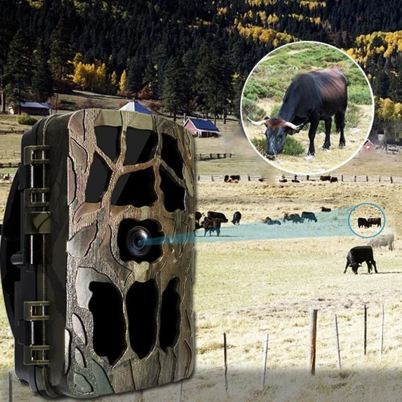 H982 IP66 Waterproof 4K Outdoo - Outdoor Hunting Videos ulasan dan harga